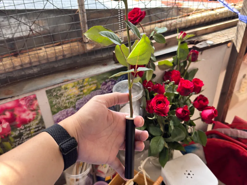 Flower vase test tube size