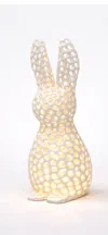 Voronoi