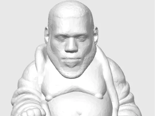 Bouddha LeBron James
