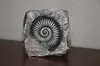 0.2mm layer, 2 walls, 5% infill, mirror-reversed left