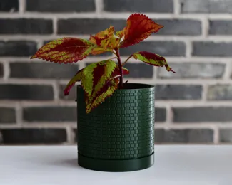 Pot 04