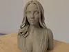 0.16mm layer, 2 walls, 12% infill