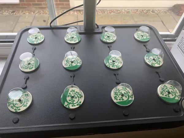 https://makerworld.bblmw.com/makerworld/model/US6dcf4301e4045a/design/2024-11-21_6rqjdhp58cua.jpeg