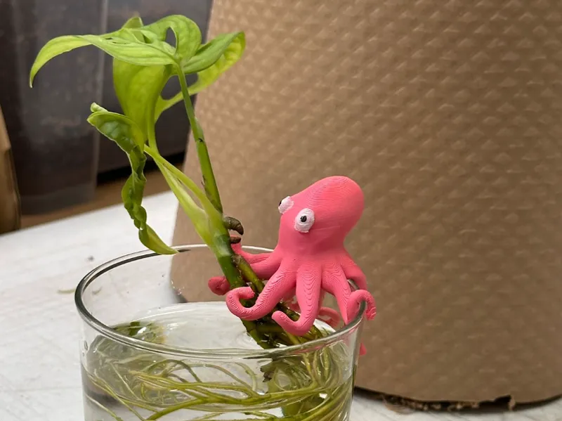 Pulpo que sujeta esquejes en vaso