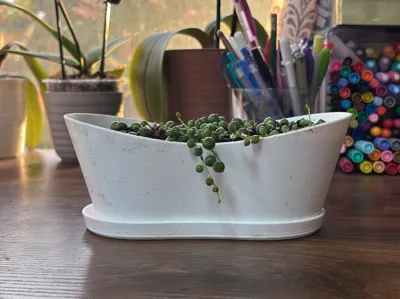 Bathtub Planter Sets