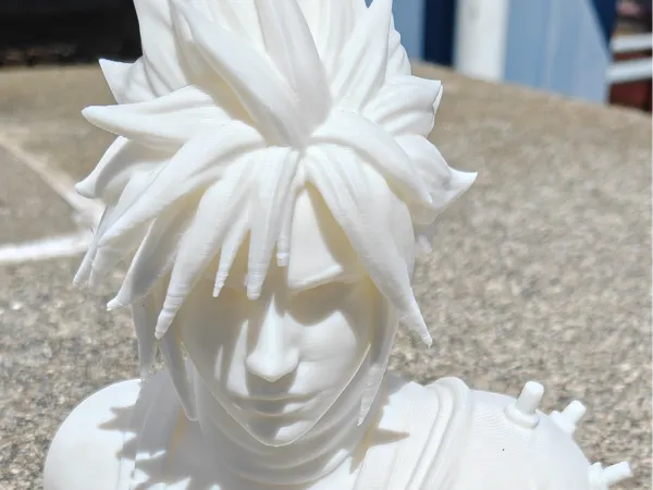 https://makerworld.bblmw.com/makerworld/model/US6dd20cfdfdc81b/design/4c34b0a463efbcc2.jpg