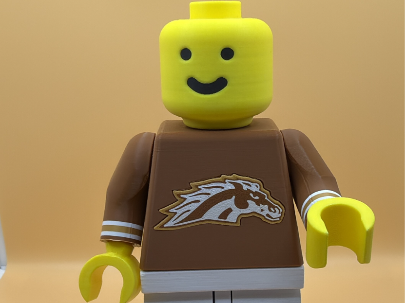 College Football Brickman - Western Michigan