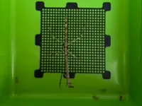 0.16mm layer, 2 walls, 15% infill