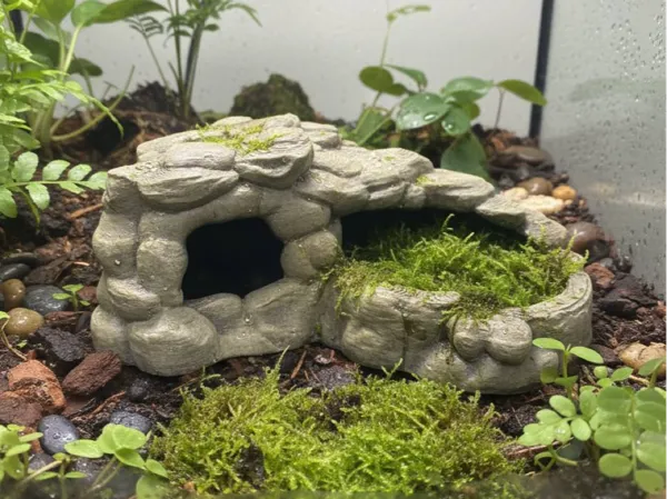 https://makerworld.bblmw.com/makerworld/model/US6ddd9329f8e672/design/d3850c89f0769a8a.jpg