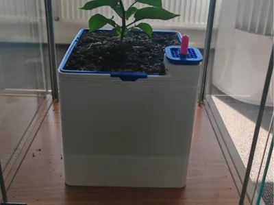 self watering pot almost maxi size