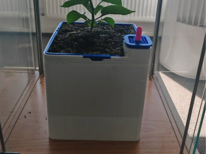 self watering pot almost maxi size