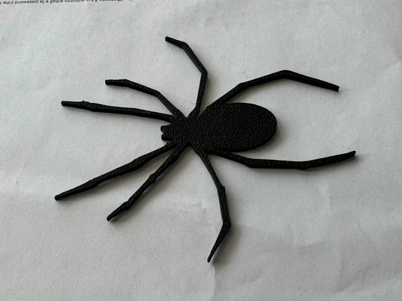 spider 2D