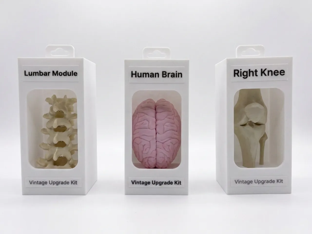 Vintage Upgrade Kit Knees V2 | Funny Gag Gift view 3