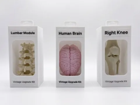 Vintage Upgrade Kit Knees V2 | Funny Gag Gift view 3