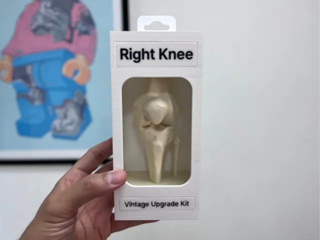 Vintage Upgrade Kit Knees V2 | Funny Gag Gift