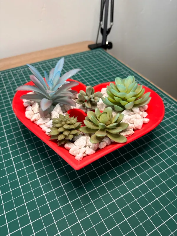 https://makerworld.bblmw.com/makerworld/model/US6def98579ab25f/design/2024-01-24_2eb3e0299dada8.jpeg