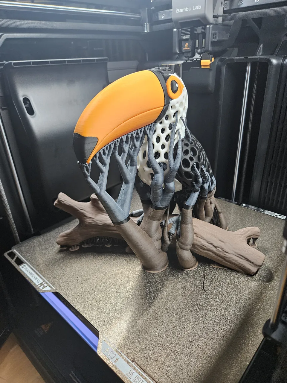 Voronoi Toucan view 3
