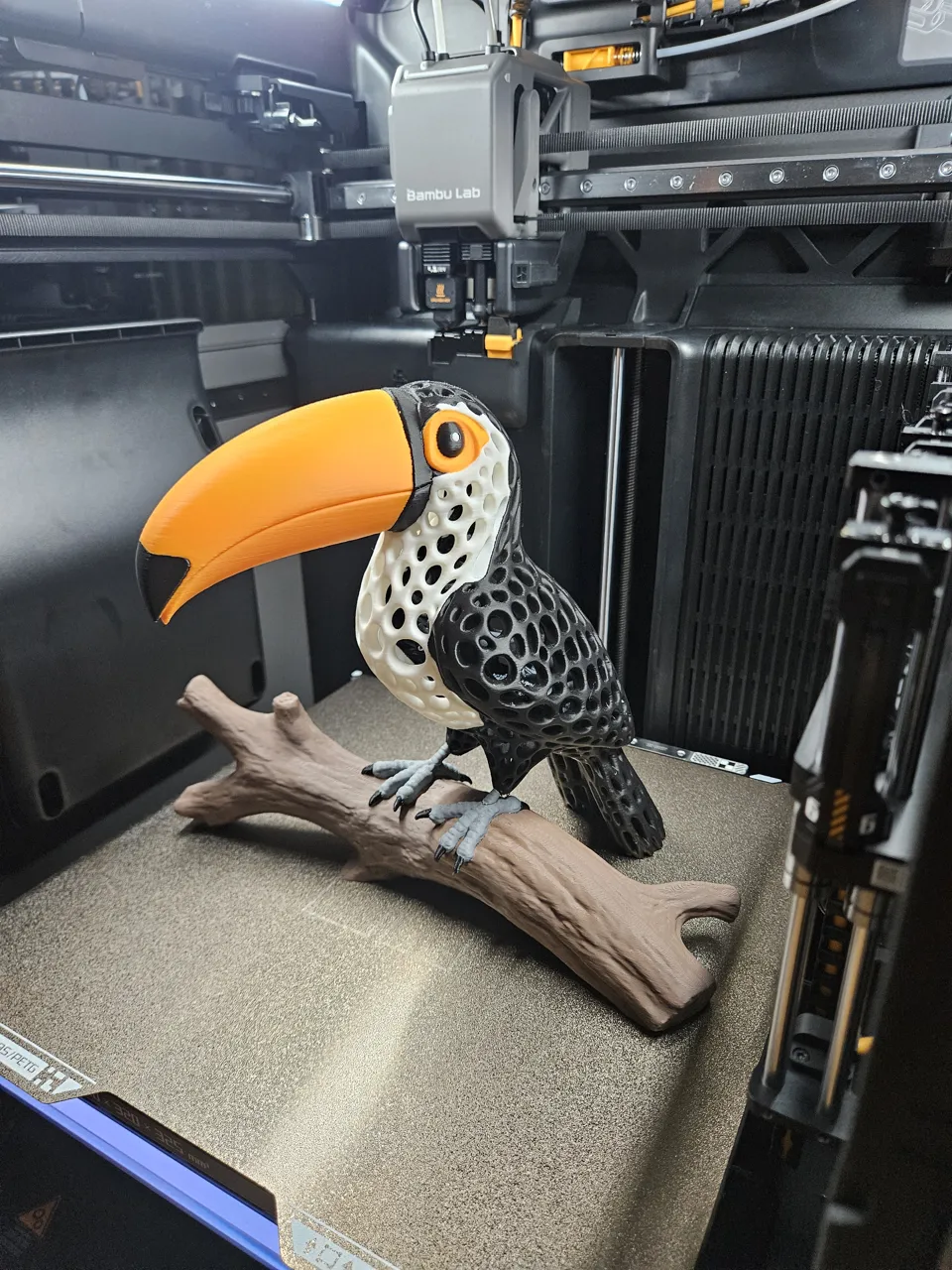 Voronoi Toucan view 2