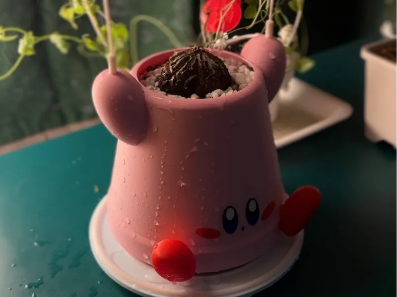 Kirby planter