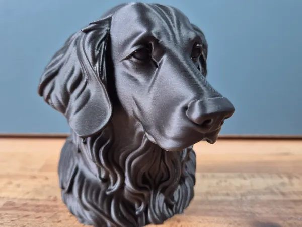 https://makerworld.bblmw.com/makerworld/model/US6df70a35674bc3/design/2025-05-24_fd2c1500ad8af.jpg