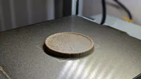 0.16mm layer, 2 walls, 15% infill