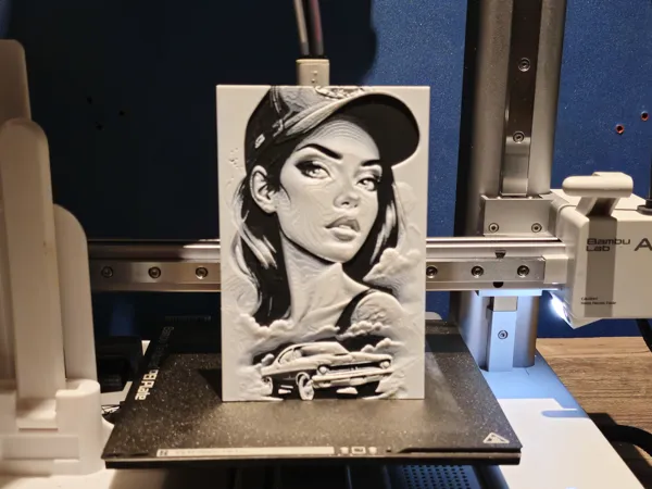 https://makerworld.bblmw.com/makerworld/model/US6df8b0ad98897d/design/2024-08-09_a942f2c0150f7.jpg