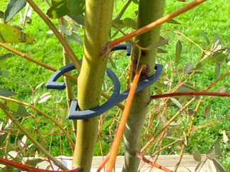 OMEGA 2 support de plante