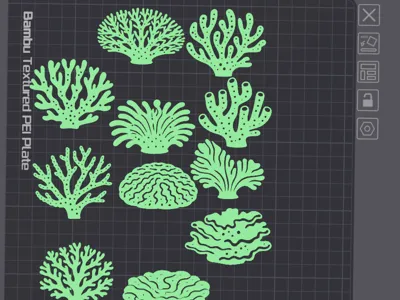 Glowing PLA Coral Reef - Silhouettes for Kids