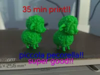 0.16mm layer, 2 walls, 15% infill