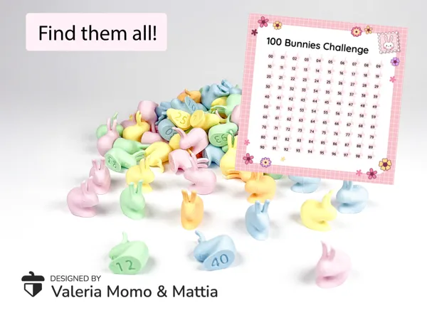https://makerworld.bblmw.com/makerworld/model/US6e052cb8eb9458/design/2025-03-07_ecf8f61c4f8d3.png