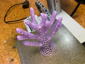 aquarium vonoroid coral for schrimp