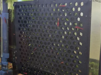 3D-Printed Aquarium Moss Wall Holder (18 × 18 cm)