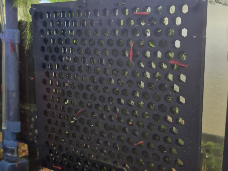 3D-Printed Aquarium Moss Wall Holder (18 × 18 cm)