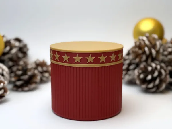 https://makerworld.bblmw.com/makerworld/model/US6e0a6ee5a1f9e9/design/2025-12-06_e1a4f10fe73608.jpg
