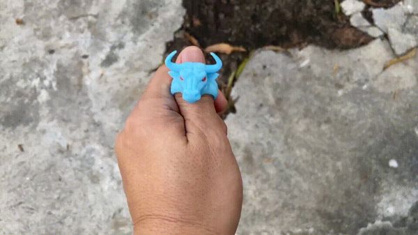 https://makerworld.bblmw.com/makerworld/model/US6e1674f422d069/design/2025-07-27_9f48366084f118.gif