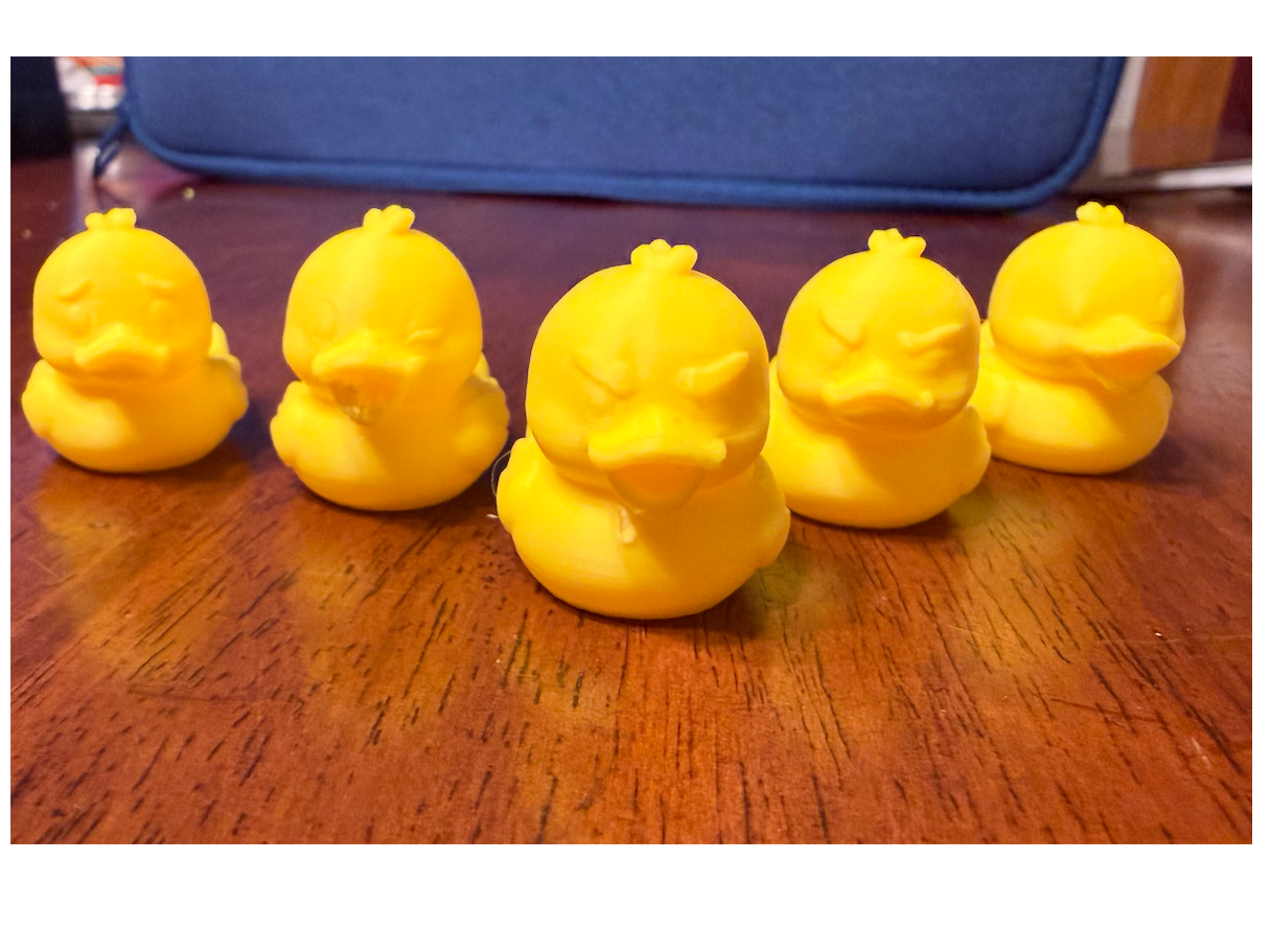 Ducks With Emotions/ Duck Army