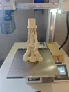 0.25mm layer, 3 walls, 15% infill