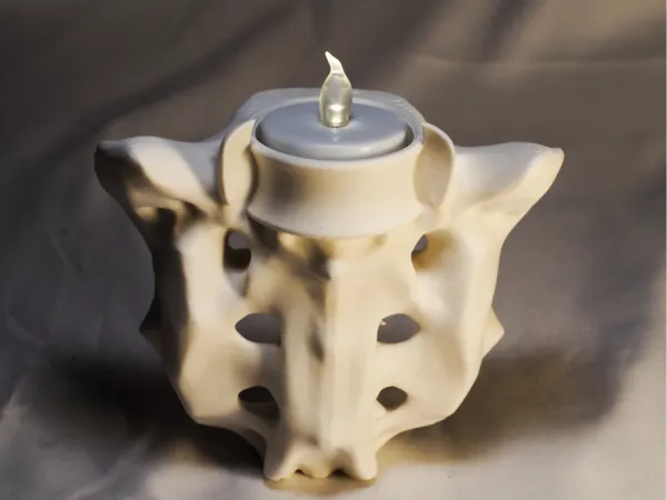 https://makerworld.bblmw.com/makerworld/model/US6e26e879259645/design/ab306a5fc1d090f6.jpg