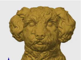 Schnoodle Bust