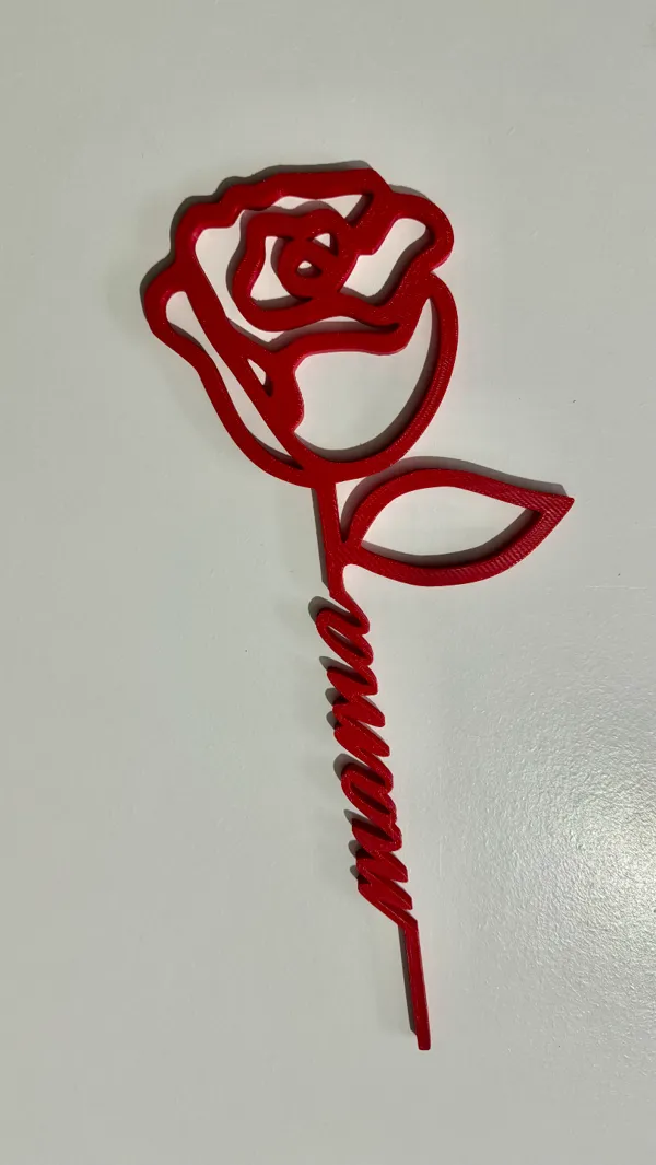 https://makerworld.bblmw.com/makerworld/model/US6e2875297f52b8/design/2024-05-02_e0cb62ee0f4ca.jpeg
