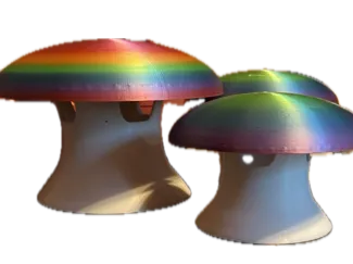 Mrs. Moon's Mushroom Slug Trap