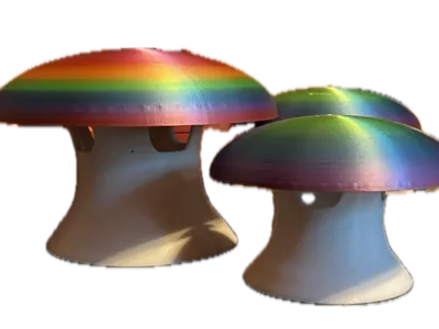 Mrs. Moon's Mushroom Slug Trap