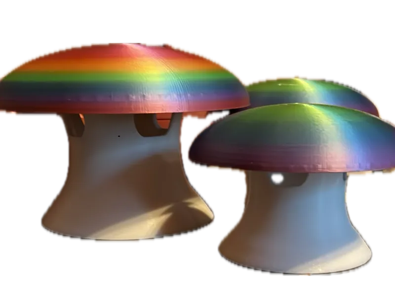 Mrs. Moon's Mushroom Slug Trap