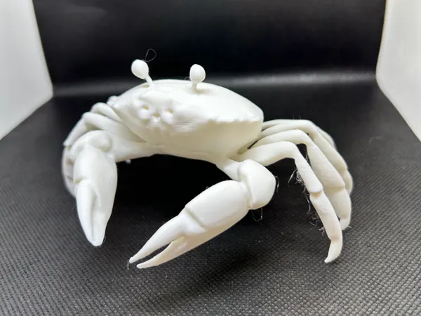 https://makerworld.bblmw.com/makerworld/model/US6e30564800846/design/2024-12-29_faff9ac066f49.jpeg