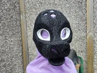 Eyes - PLA - 0.2mm layer, 3 walls, 100% infill