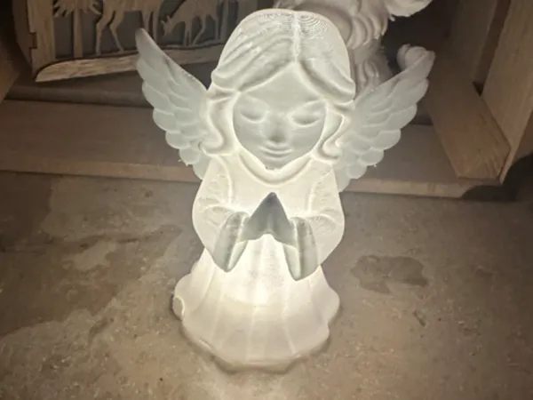 https://makerworld.bblmw.com/makerworld/model/US6e3e27cb06fef/design/2025-12-07_f488396a384688.jpg