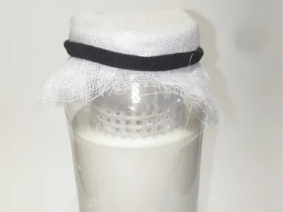 Kefir Jar Strainer