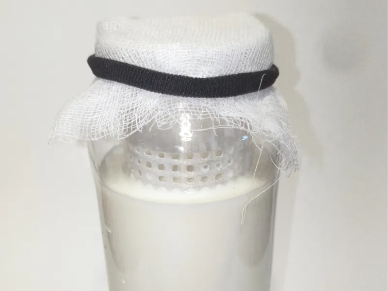 Colador de kefir para tarro