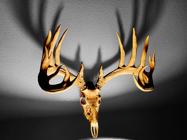 https://makerworld.bblmw.com/makerworld/model/US6e42c3c997fb5/design/2025-05-07_5dc61946077e68.png