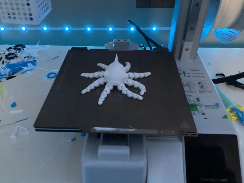 Floppertapus V1